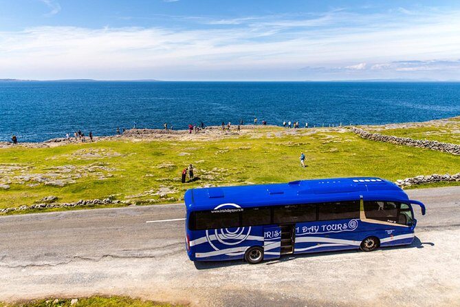 From Dublin: Cliffs of Moher, Boat Tour & Aillwee Cave - Authentic Experiences & Real Insights