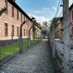 From Krakow: Auschwitz-Birkenau Memorial and Museum Guided Tour - Analyzing the Value