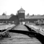 From Krakow: Auschwitz & Wieliczka Salt Mine Guided Tour - A Detailed Breakdown of the Itinerary