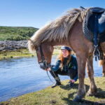 From Reykjavík: Icelandic Horse Riding Tour in Lava Fields - Practical Details That Matter
