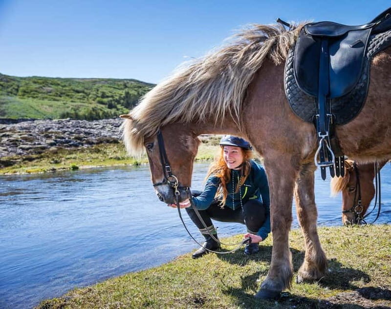 From Reykjavík: Icelandic Horse Riding Tour in Lava Fields - Practical Details That Matter