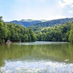 From Yerevan: Sevan, Dilijan, Haghartsin, Goshavank, Old Dilijan - Practical Details and Traveler Insights