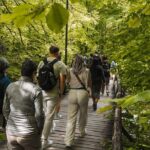 From Zadar: Plitvice Lakes with Boat Ride & Zadar Old town tour - Authentic Experiences and Honest Insights