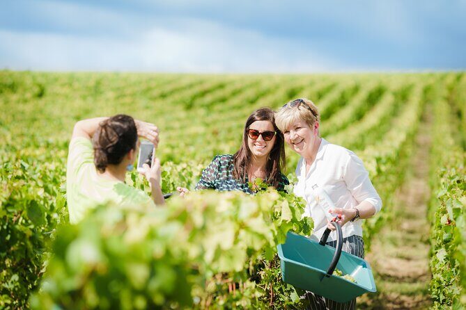 Full Day Champagne Pommery Small Group Tour - How the Reviews Reflect the Experience