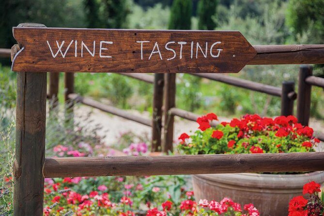 Full-Day Chianti Tour by Vespa Scooter from San Gimignano - In-Depth Itinerary Breakdown