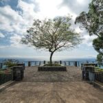 Full-Day Jeep Tour Madeira Majestic Viewpoints - Who Will Love This Tour?