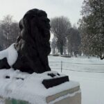 Full Day Private Battle of the Somme Tour from Albert - Who Is This Tour Best For?