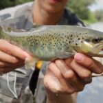 Full Day Private Guided Fishing Charter along the Isonzo Front - An Authentic, Well-Balanced Adventure