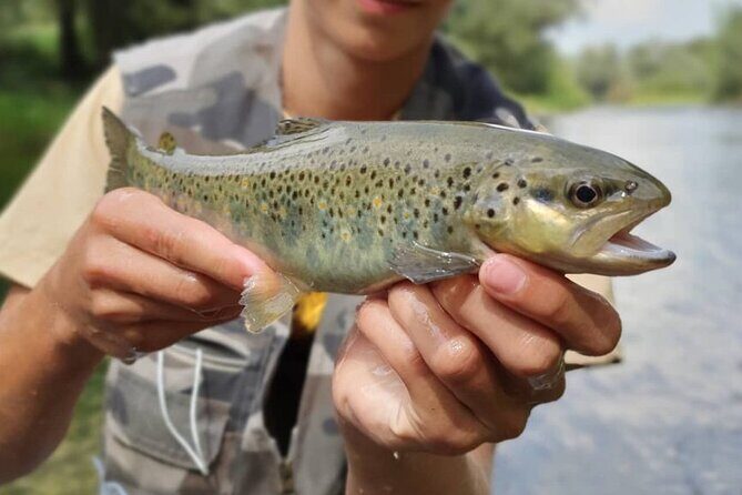 Full Day Private Guided Fishing Charter along the Isonzo Front - An Authentic, Well-Balanced Adventure