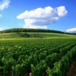 Full-Day Private Guided Tour of Champagne wih Hotel Pickup - How the Tour Completes the Champagne Experience