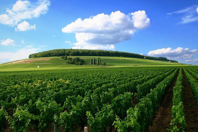 Full-Day Private Guided Tour of Champagne wih Hotel Pickup - How the Tour Completes the Champagne Experience