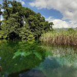 Full-Day Private Lake Ohrid and Albania Tour from Ohrid - A Deep Dive into the Lake Ohrid and Albanian Coastline Tour