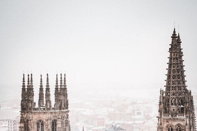 Full-Day Private Tour in Burgos from Madrid with Pick Up - Analyzing the Value