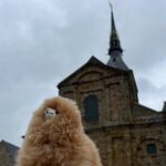 Full-day Private Tour in Mont Saint Michel with Calvados Tasting - The Itinerary Breakdown