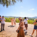 Full day private tour to Chianti wine region from Florence - The Itinerary: A Deep Dive into the Day