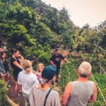 Full Day Rainforest Tour with Tasting and Swimming Time - Transportation, Group Size, and Practicalities