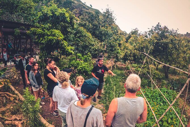 Full Day Rainforest Tour with Tasting and Swimming Time - Transportation, Group Size, and Practicalities