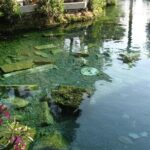 Full Day Salda + Pamukkale and Hierapolis from Alanya - Who Should Consider This Tour?