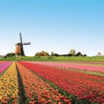 Full-Day Skip the Line Keukenhof and Canal Cruise from Amsterdam - Analyzing Value and Practicality
