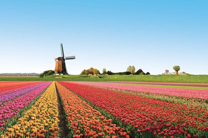 Full-Day Skip the Line Keukenhof and Canal Cruise from Amsterdam - Analyzing Value and Practicality