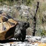 Full-Day Small-Group Tour of Bulgaria by Minivan with Lunch - What We Love About This Tour