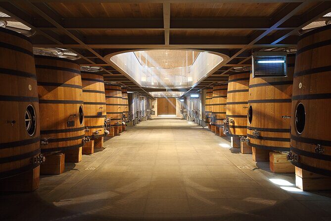 Full Day Tour Growth Classified Chateau and Village Saint Emilion - Who Should Consider This Tour?