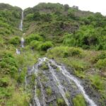 Full Day Tour in Porto Moniz with the Locals - The Practicalities: What You Need to Know