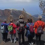 Full Day Tour with Hiking to the Tajogaite Volcano - Who Is This Tour Best For?