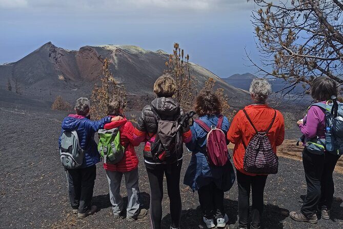 Full Day Tour with Hiking to the Tajogaite Volcano - Who Is This Tour Best For?