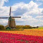 Full-Day Trip From Amsterdam to Keukenhof, Zaanse Schans + Cruise - Who Should Book This Tour?