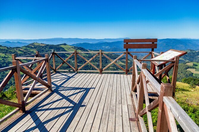 Full-Day Trip from Belgrade: Tara National Park & The Drina River Valley - What Makes This Tour Stand Out?
