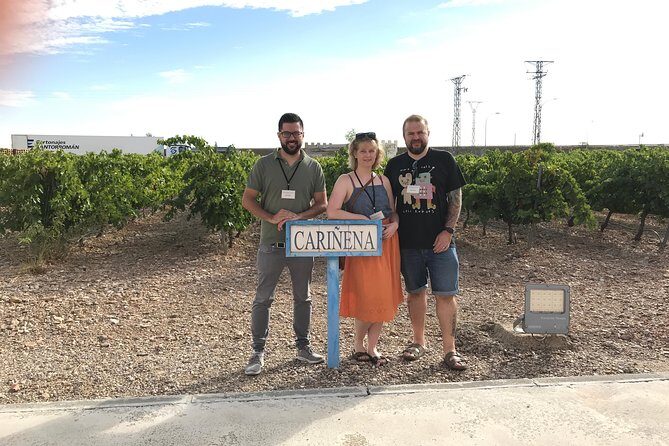 Full-Day Wine Excursion and Visit Goya Birthplace - Navigating the Day: A Closer Look at the Itinerary