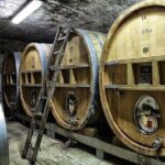Full-day Wine Tour around Bandol & Cassis from Marseille - Free Time in Cassis: A Perfect Lunch Stop