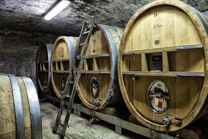 Full-day Wine Tour around Bandol & Cassis from Marseille - Free Time in Cassis: A Perfect Lunch Stop