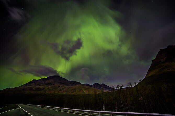 Full Night Magic of the Northern Lights in Tromso - The Pros and Cons: What to Keep in Mind