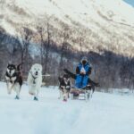Fun & Easy Dog Sledding Adventure - Noon Tour - Authenticity and Review Highlights