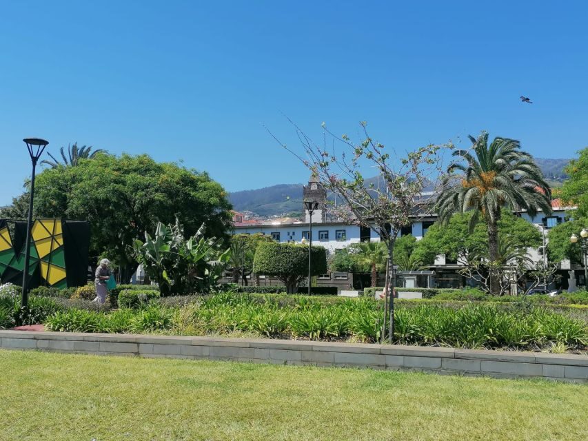 Funchal: Private Guided Tour of Historic Center by Tuk Tuk - Who Will Love This Tour?