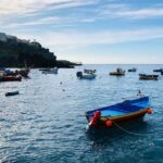 Funchal Private Vehicle Service with Driver for a Half Day or Full Day - Starting Off: Seamless Pickup and Personalization