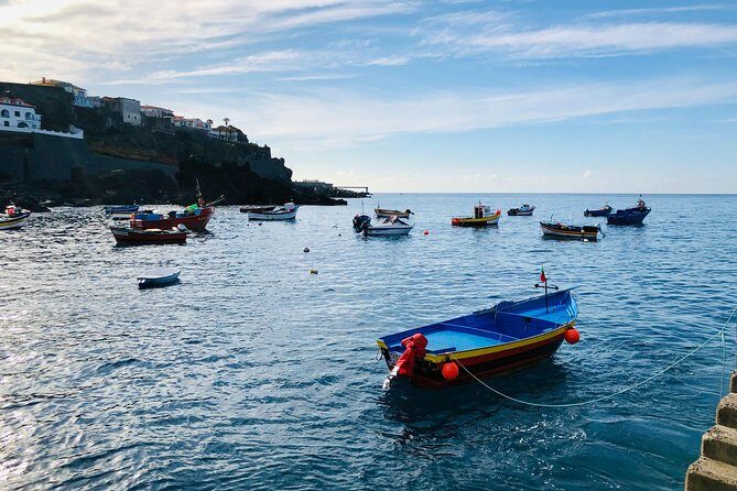 Funchal Private Vehicle Service with Driver for a Half Day or Full Day - Starting Off: Seamless Pickup and Personalization