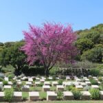 Gallipoli Tour from Eceabat, Canakkale - Final Thoughts