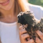 Gallura Picnic in the Farm with Animals - What to Expect from Your Sardinian Farm Picnic