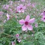 Gastro hike (Private Tour) - Who Is This Tour Best For?
