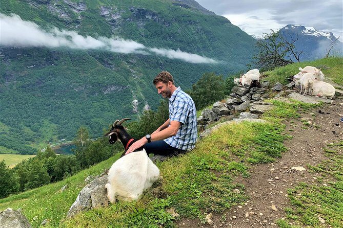 Geiranger by Royal route, 5 hours with visiting a high-mountain farm - Who Would Love This Experience?