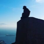 Gibraltar Sightseeing : Extended Rock Tour / Shore Excursion (Private) - Who Will Love This Tour?