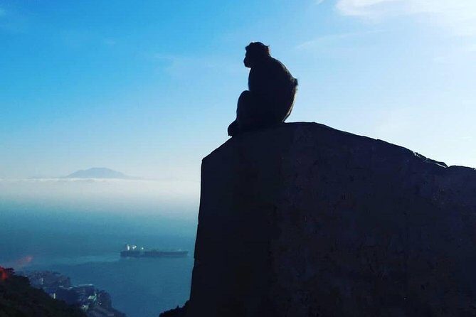 Gibraltar Sightseeing : Extended Rock Tour / Shore Excursion (Private) - Who Will Love This Tour?