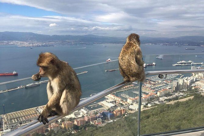 Gibraltar Sightseeing Private Full Day Shore Excursion - Who Is This Tour Best For?