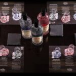 Gin Tasting Experience with a Perfect Serve - Value and What You Get