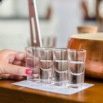 Gin Tour at Hensol Castle Distillery - Practical Details and Value