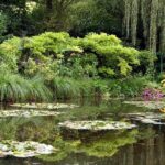 Giverny and Monet's Garden Half-Day Trip from Paris - A Detailed Breakdown of the Experience