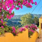 Gran Canaria 7 Highlights Small Group Tour with Tapas Picnic - The Transport & Group Size: Why It Matters